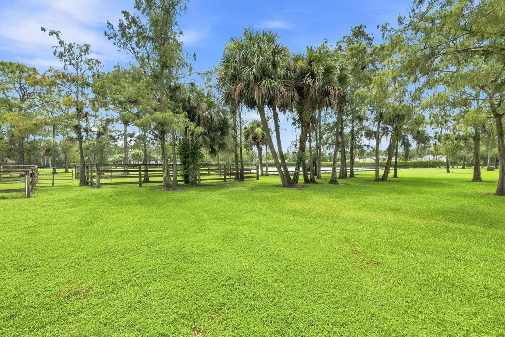 14902 Paddock Drive - Photo 23
