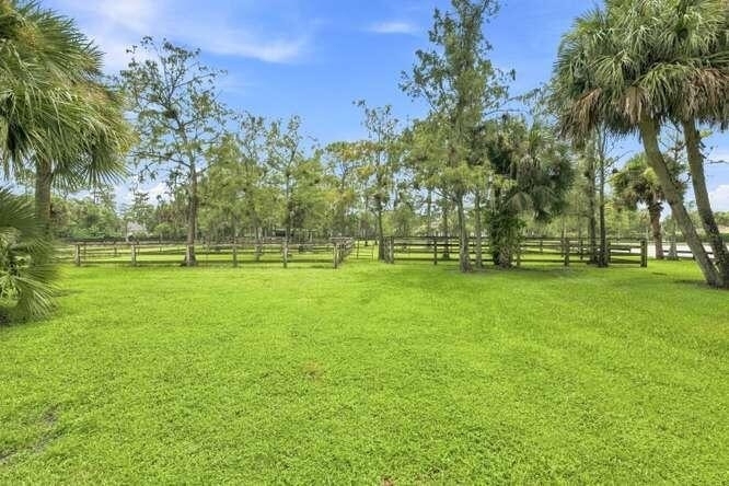 14902 Paddock Drive - Photo 3