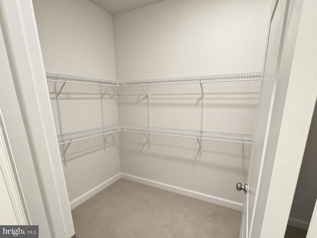 42 Trout Lily Drive - Photo 12