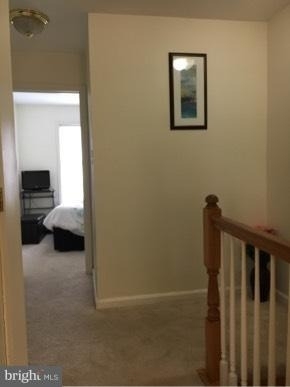 12 Mabel Lane - Photo 10
