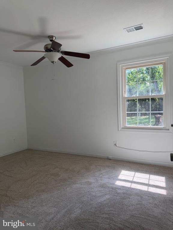 105 Walnut Drive - Photo 13