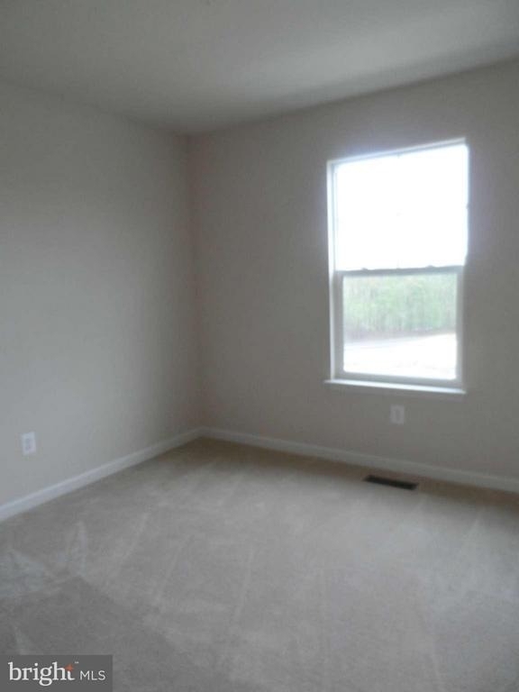 27 Rapidan Drive - Photo 17