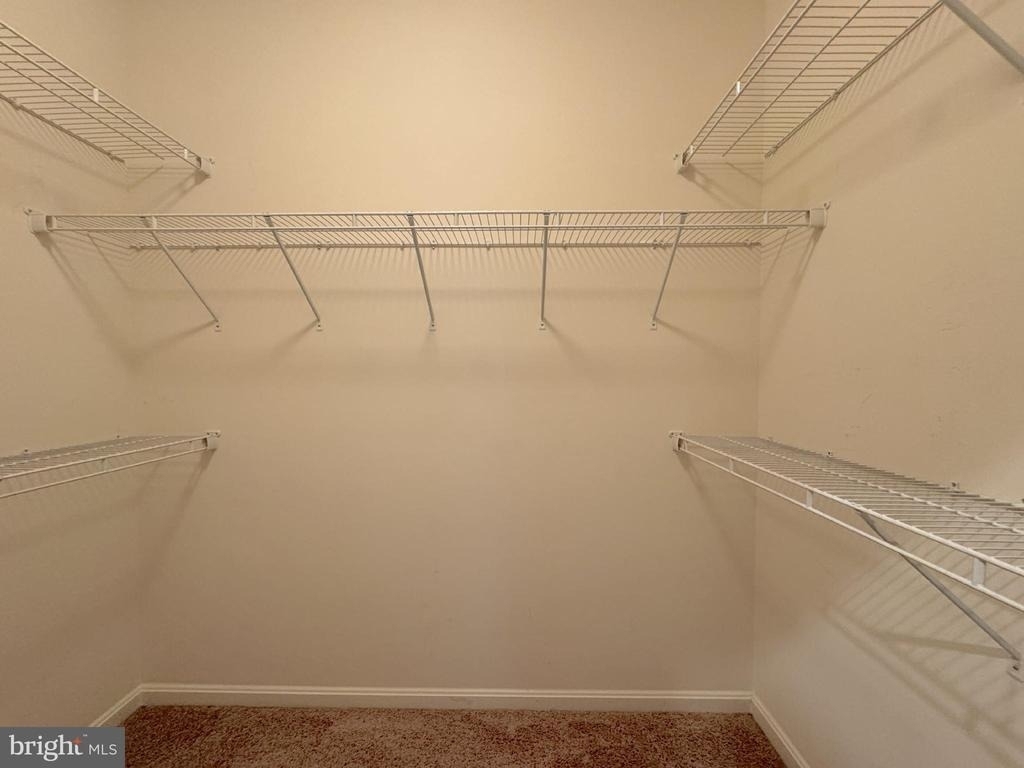 23318 April Mist Place - Photo 21