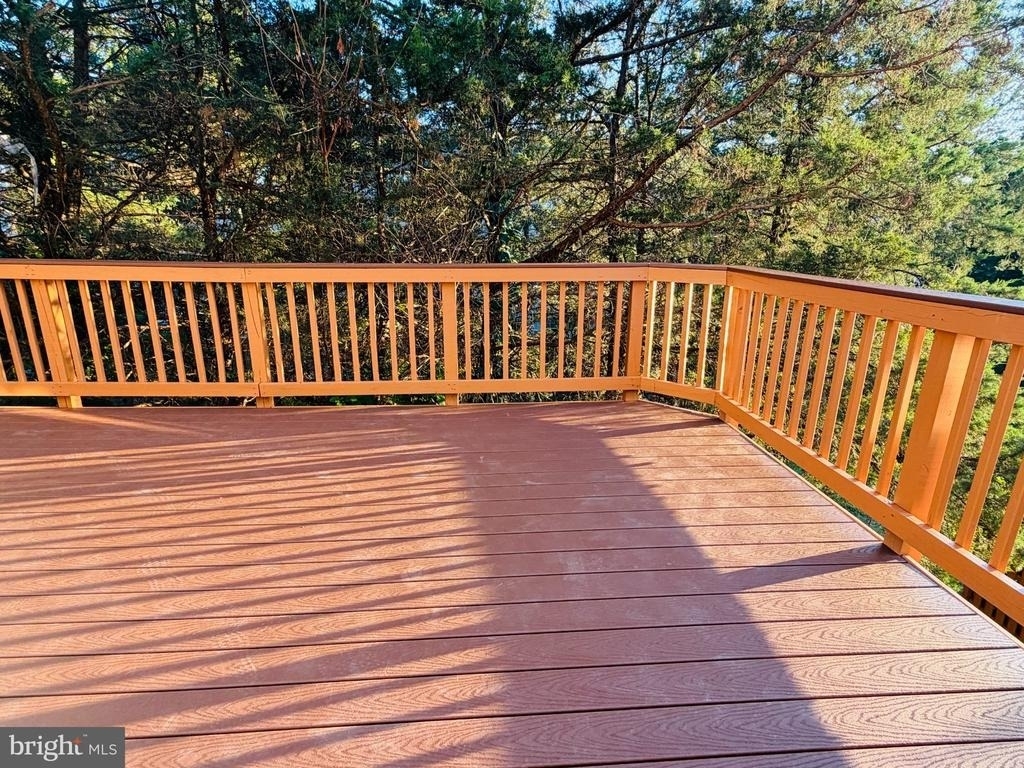 25352 Herring Creek Drive - Photo 43