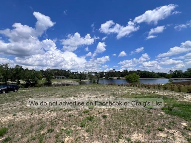 343 Palestine Road - Photo 19