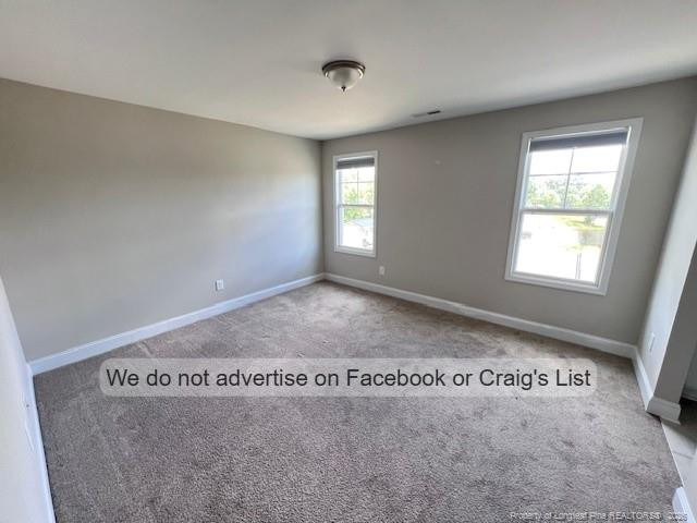 343 Palestine Road - Photo 12