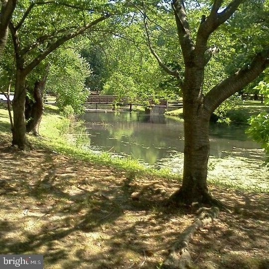 311 Columbia Blvrd. - Photo 1