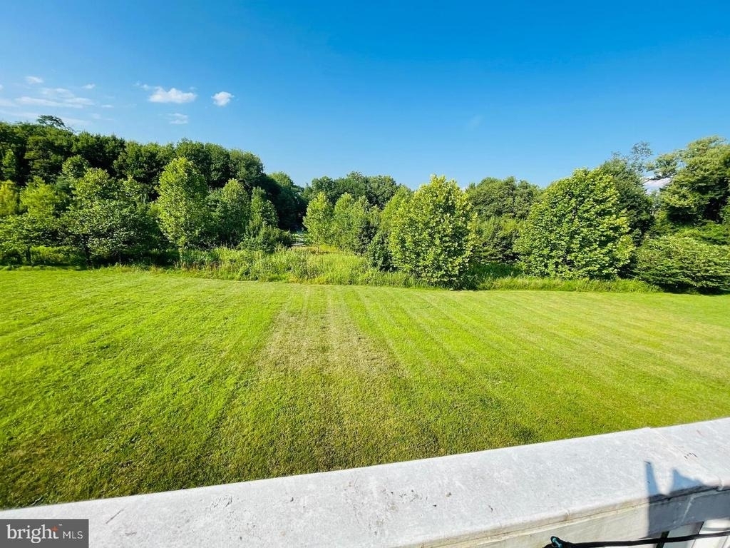 1024 Briggs Chaney Road - Photo 4