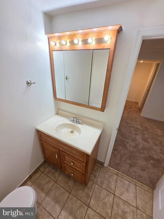 18552 Cape Jasmine Way - Photo 56