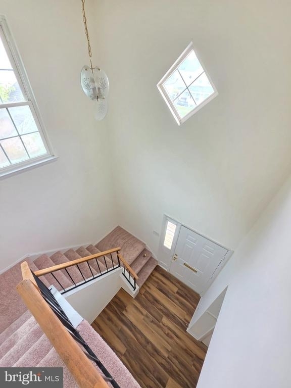 18552 Cape Jasmine Way - Photo 28