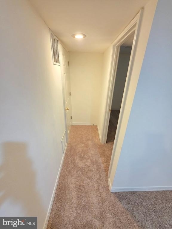 18552 Cape Jasmine Way - Photo 51