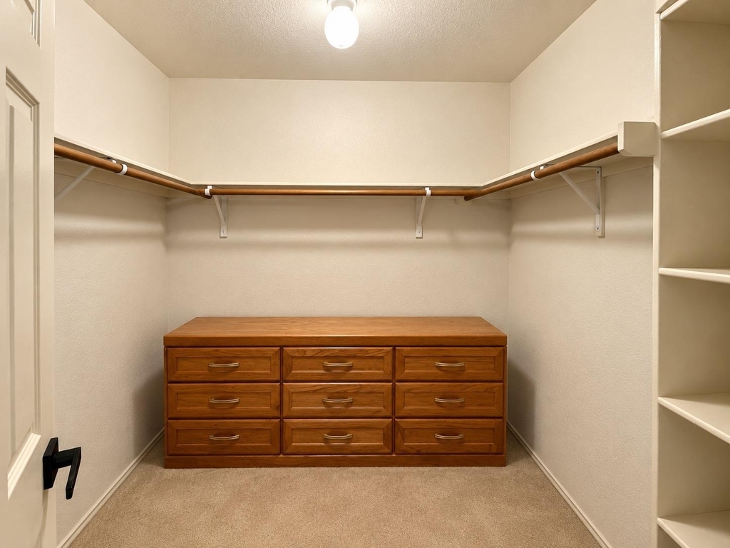 13301 Forest Sage St - Photo 5