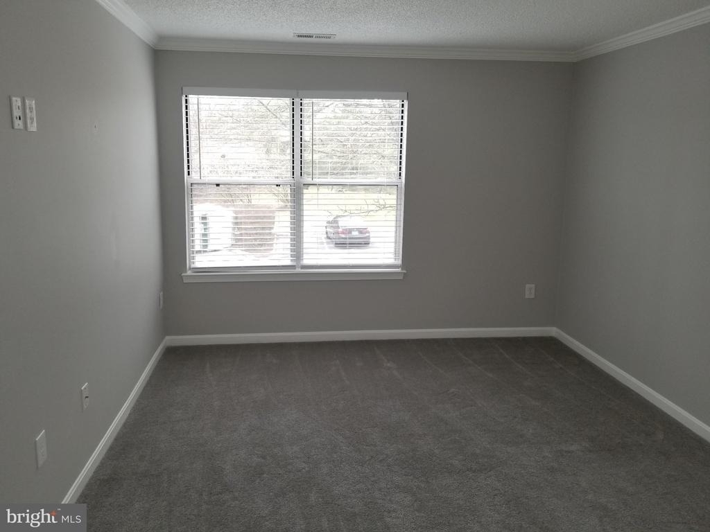 2603 Camelback Lane - Photo 11