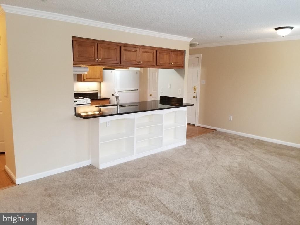 2603 Camelback Lane - Photo 1