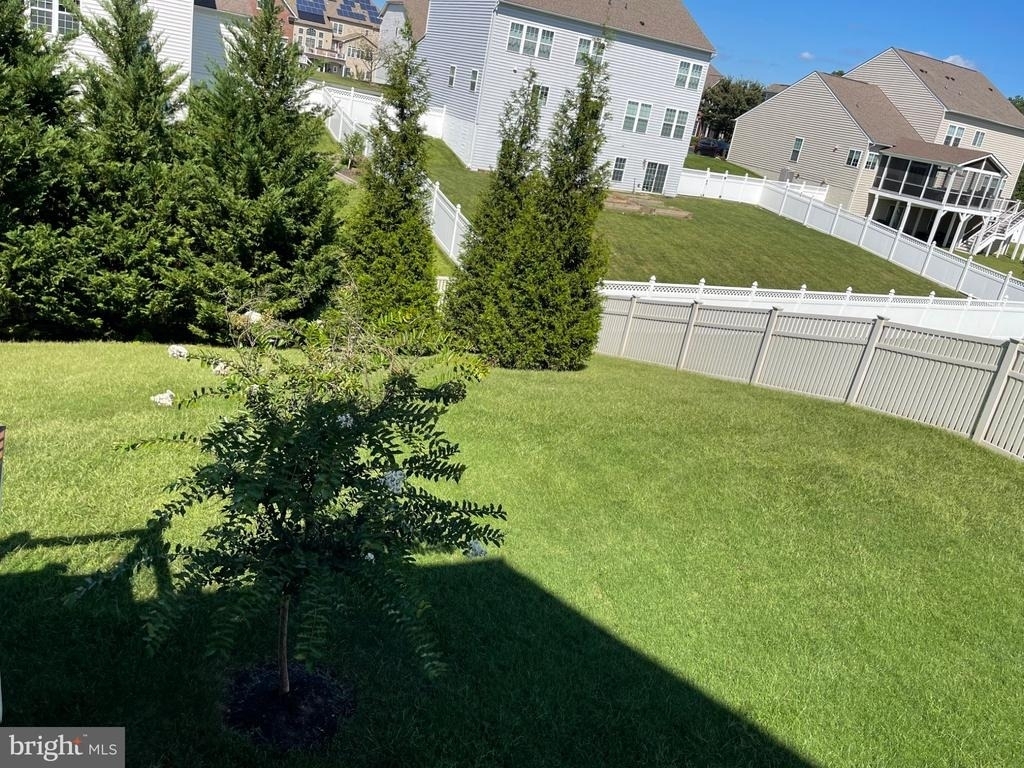 5801 Coppelia Drive - Photo 23