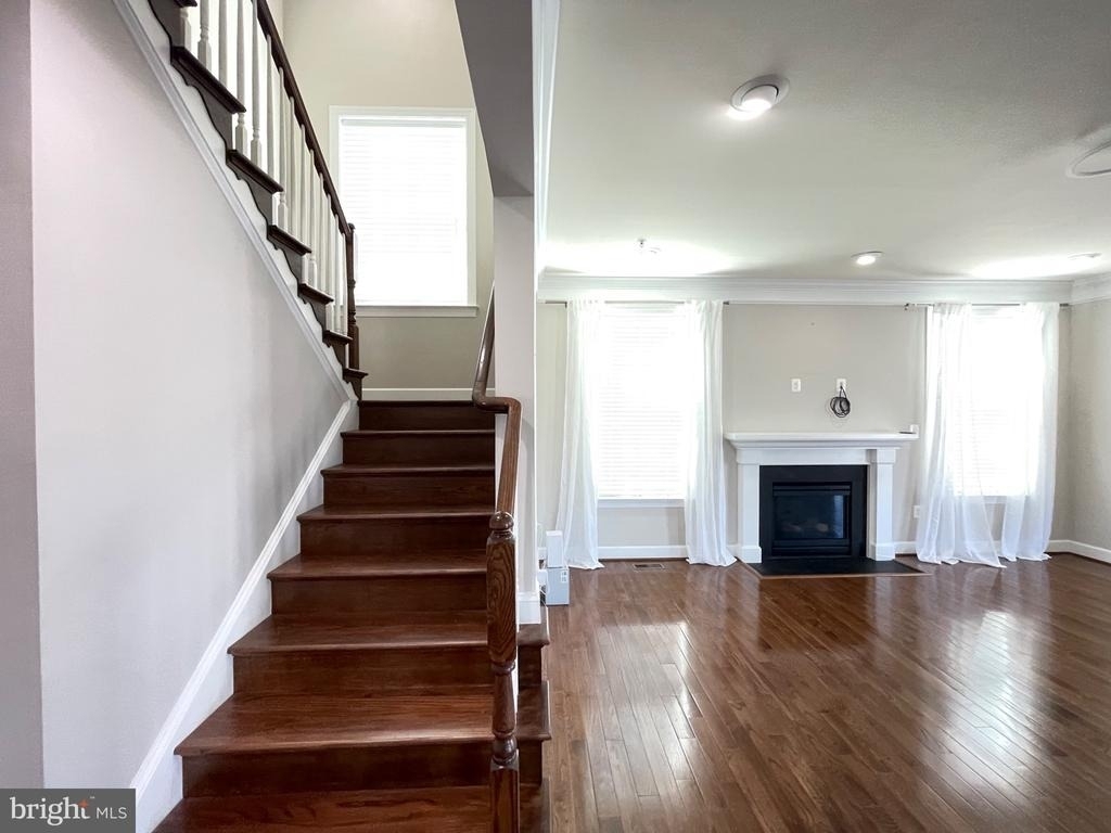 5801 Coppelia Drive - Photo 20
