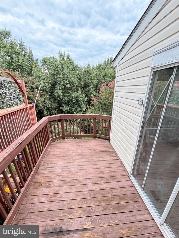 517 Doefield Court - Photo 5