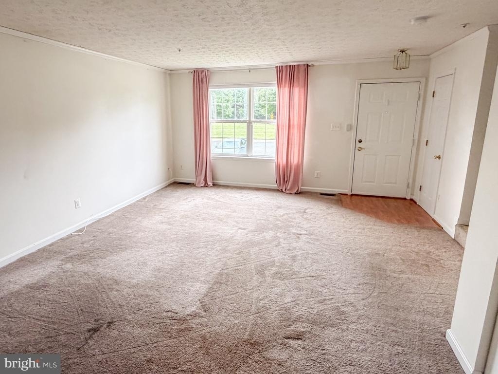 517 Doefield Court - Photo 1