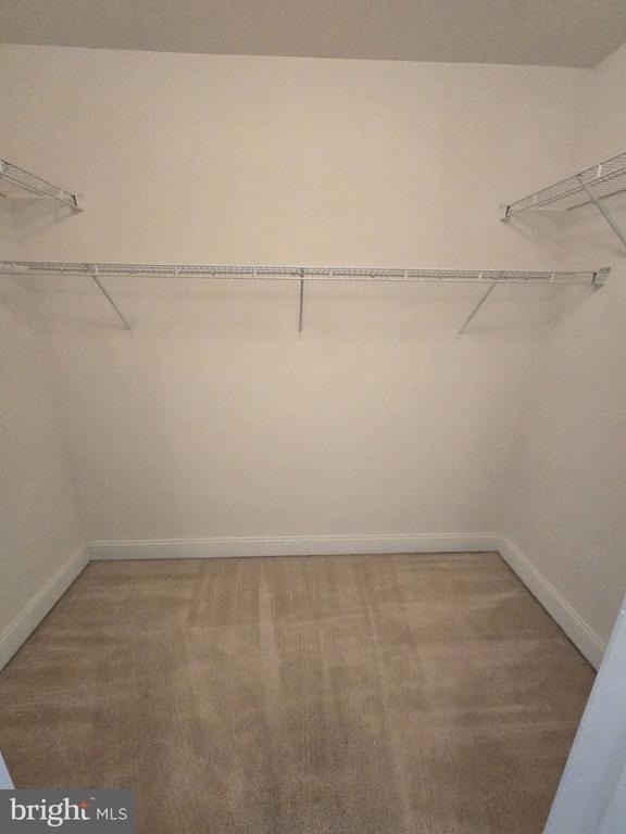 10491 Carberry Court - Photo 30
