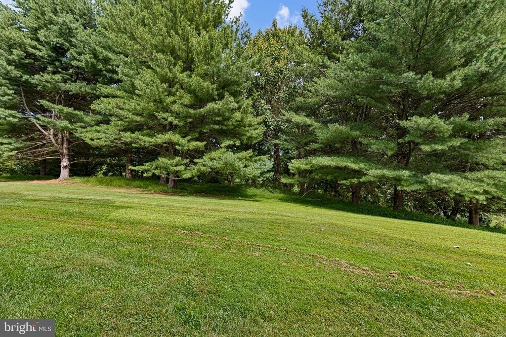 1312 Braken Avenue - Photo 16