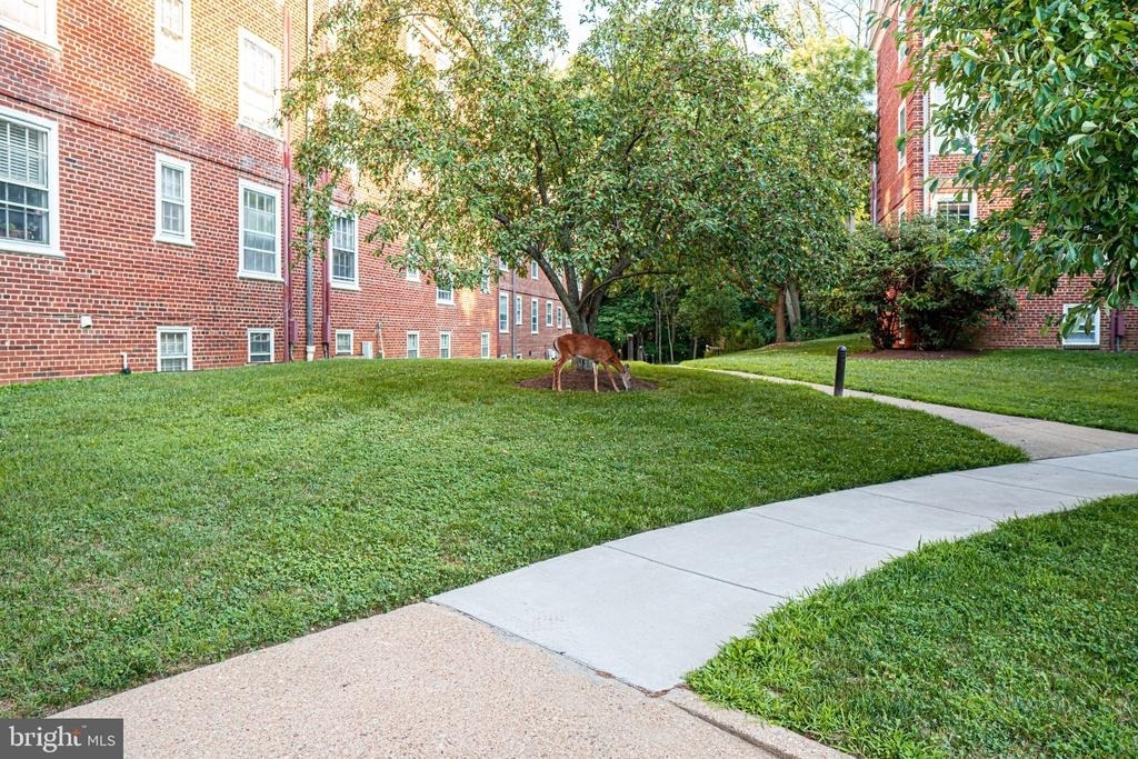 3801 Newark Street Nw - Photo 24