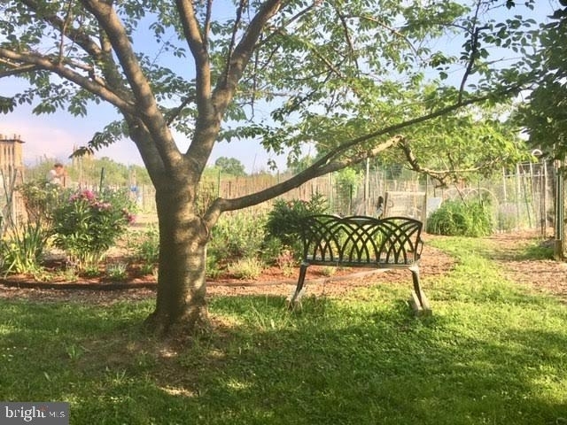 3801 Newark Street Nw - Photo 27