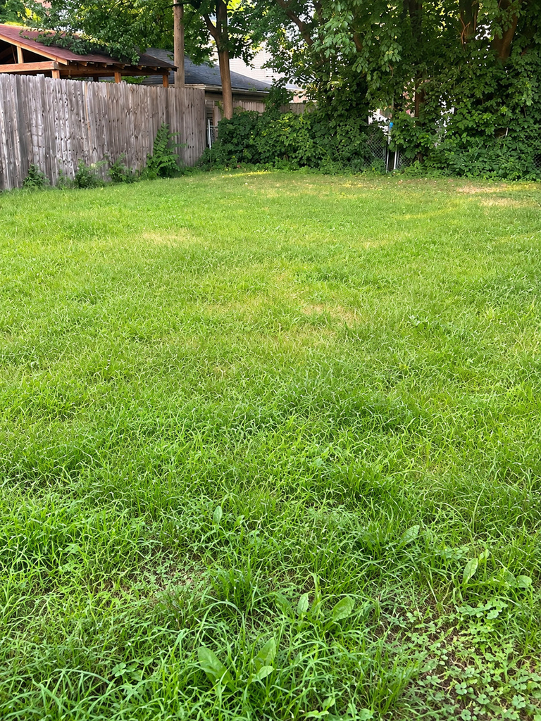 331 23rd Avenue - Photo 12