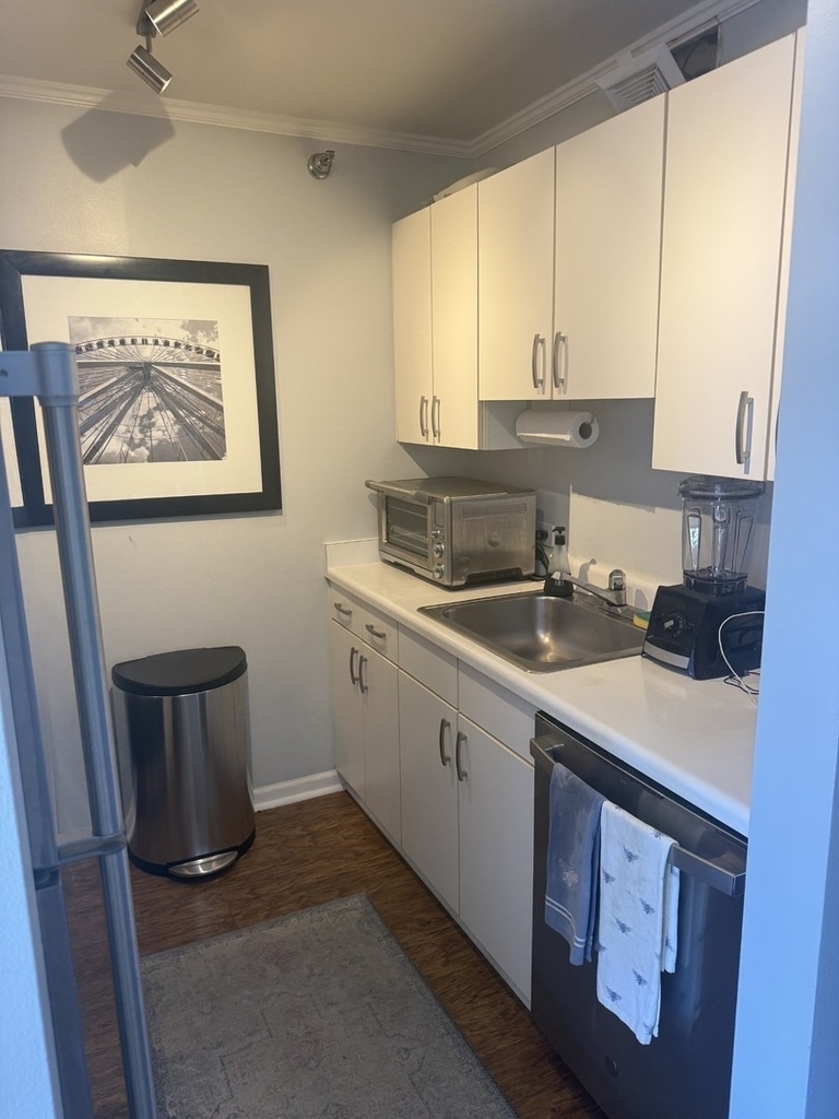 33 W Delaware Place - Photo 6