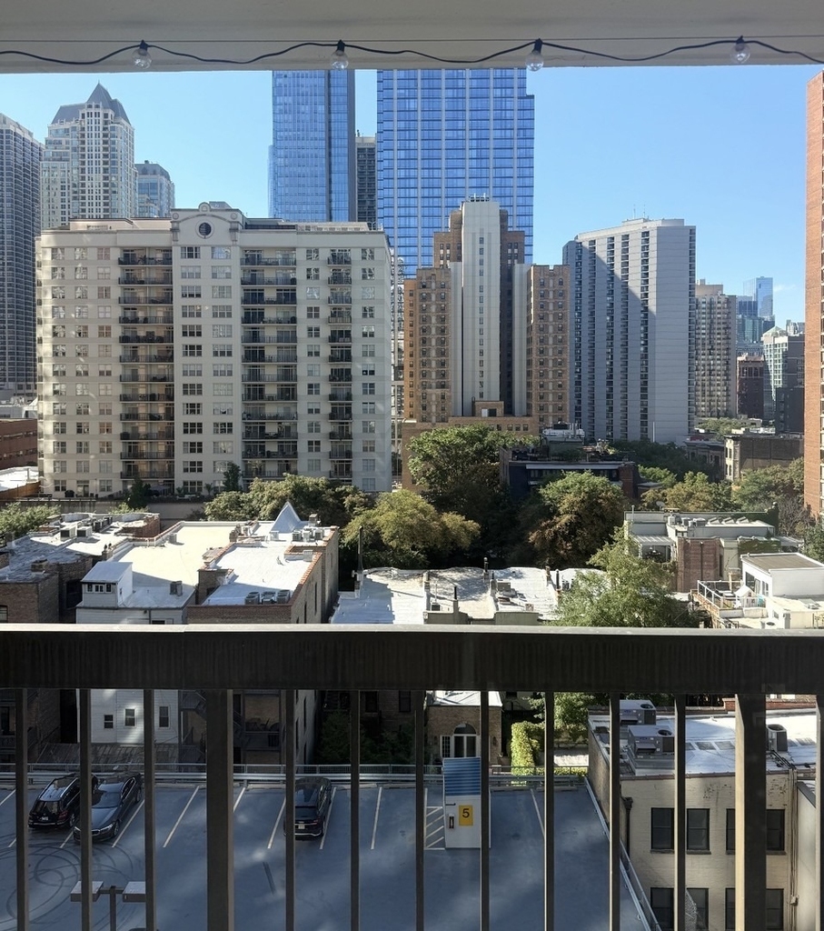 33 W Delaware Place - Photo 12