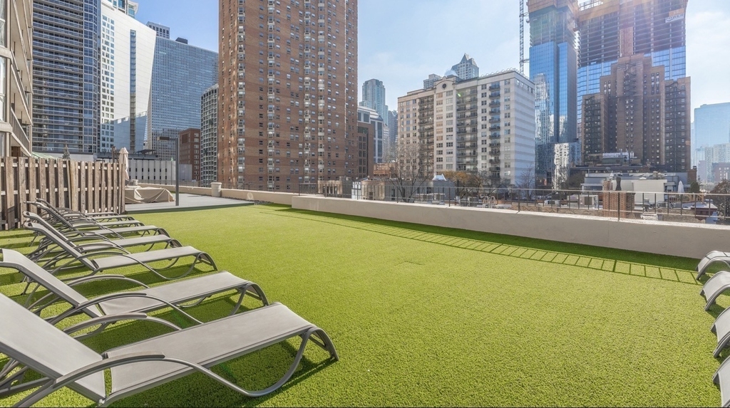33 W Delaware Place - Photo 14