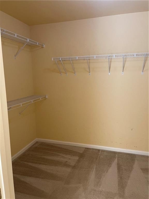 1594 Hampton Hollow Trail - Photo 8