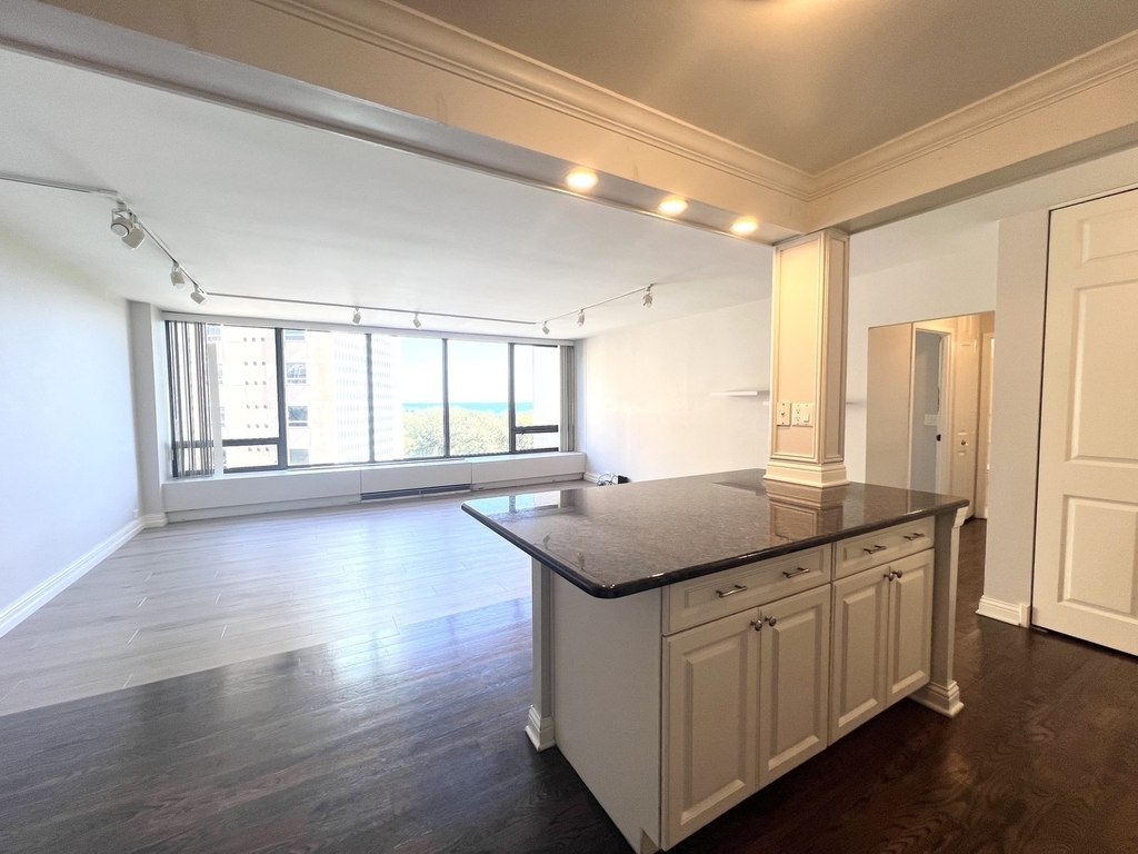 2800 N Lake Shore Drive - Photo 4