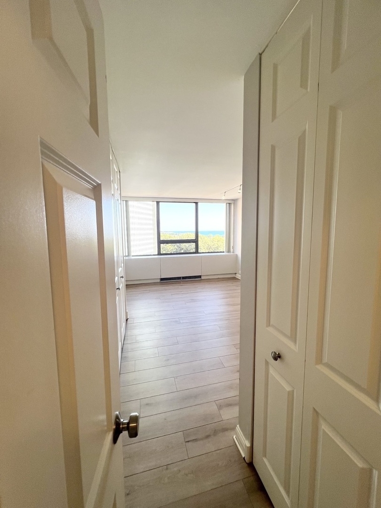 2800 N Lake Shore Drive - Photo 12