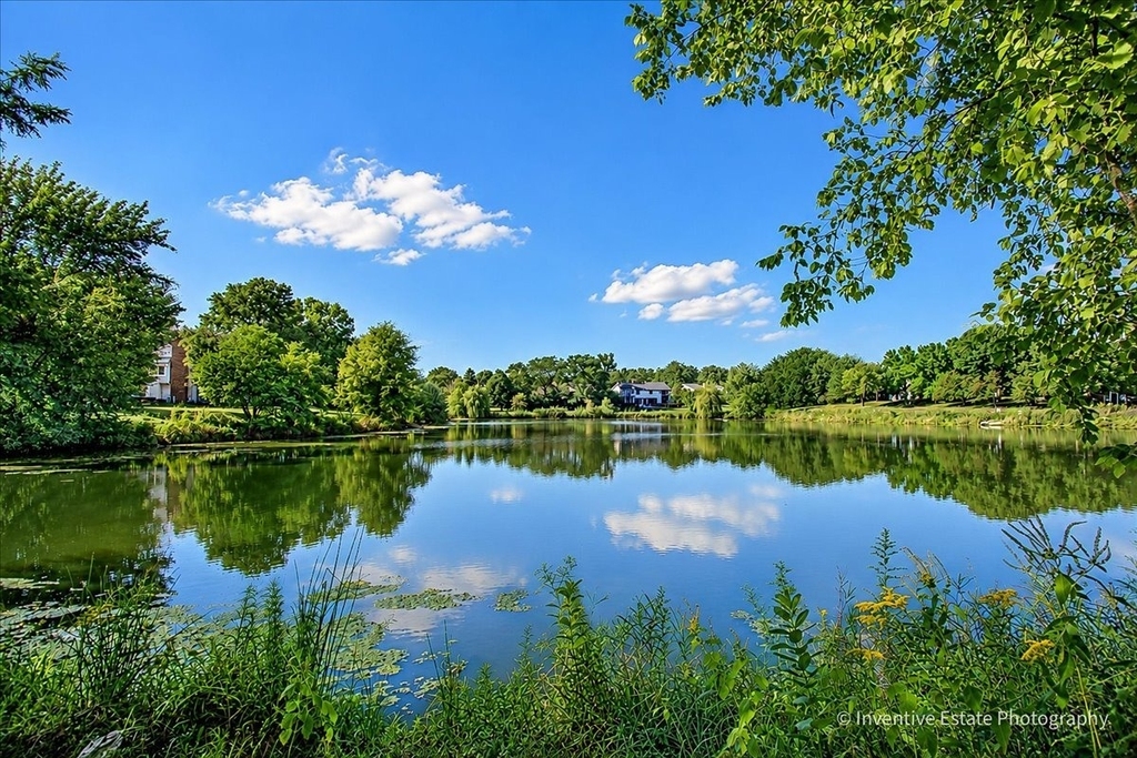 6201 Sleepy Hollow Lane - Photo 15