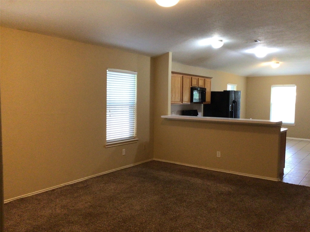 6634 Stonecross Creek Lane - Photo 3