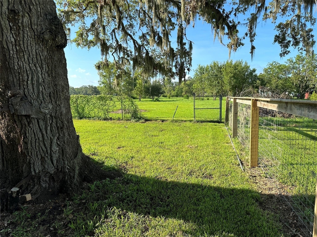 5249 County Road 353 - Photo 7