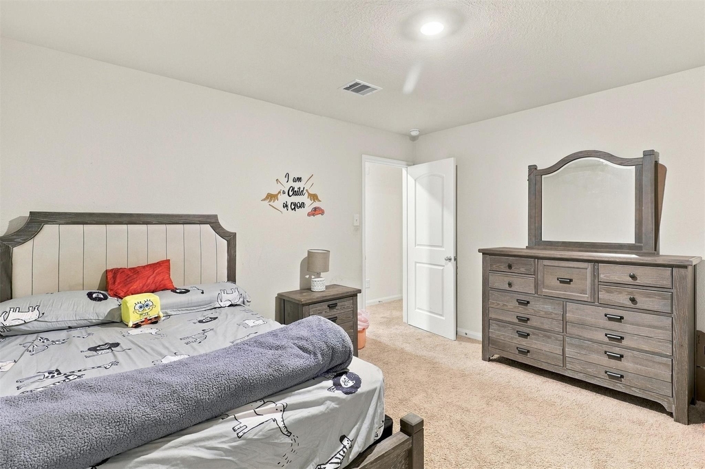 20918 Capulin Lakes Drive - Photo 27