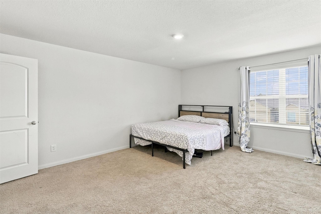 20918 Capulin Lakes Drive - Photo 22