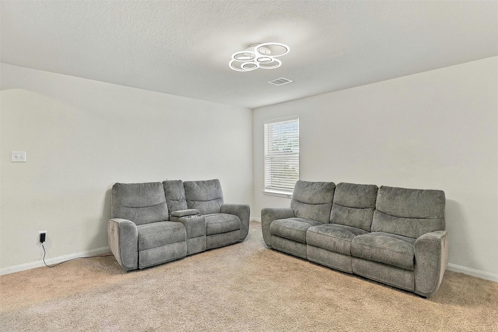 20918 Capulin Lakes Drive - Photo 20