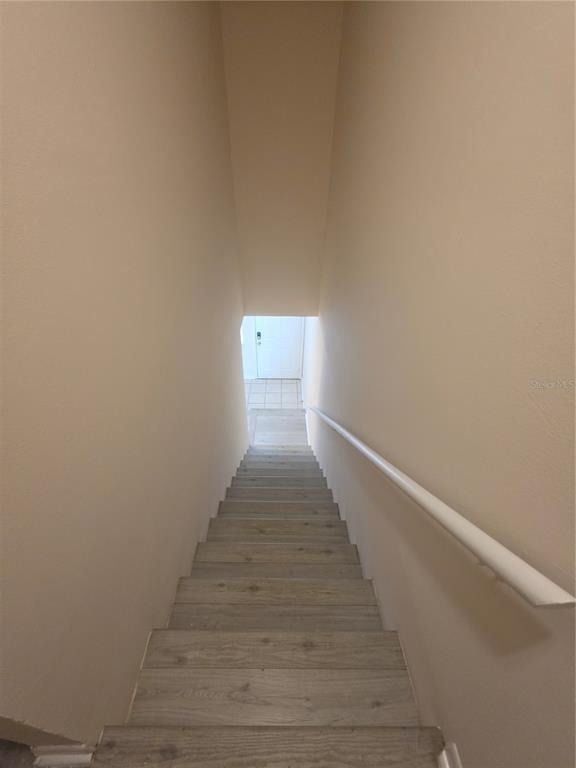 5194 Sunridge Palms Drive - Photo 12