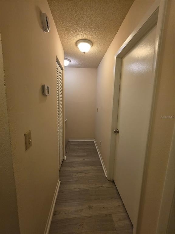 5194 Sunridge Palms Drive - Photo 19