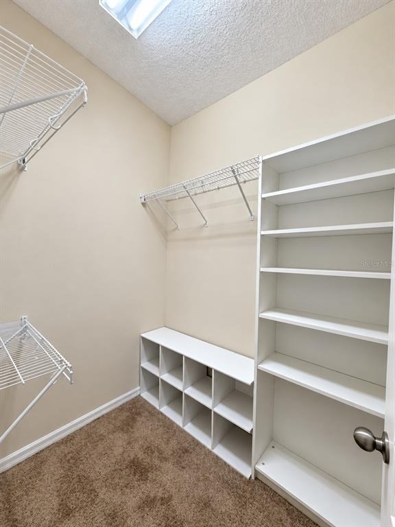 8259 Maritime Flag Street - Photo 13