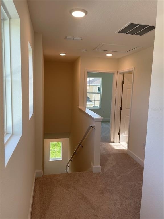 193 Holly Village Drive - Photo 26