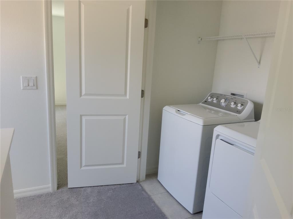 1816 Fan Palm Drive - Photo 9