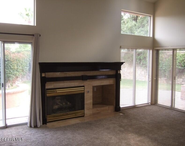 4579 Weeping Willow Drive - Photo 0