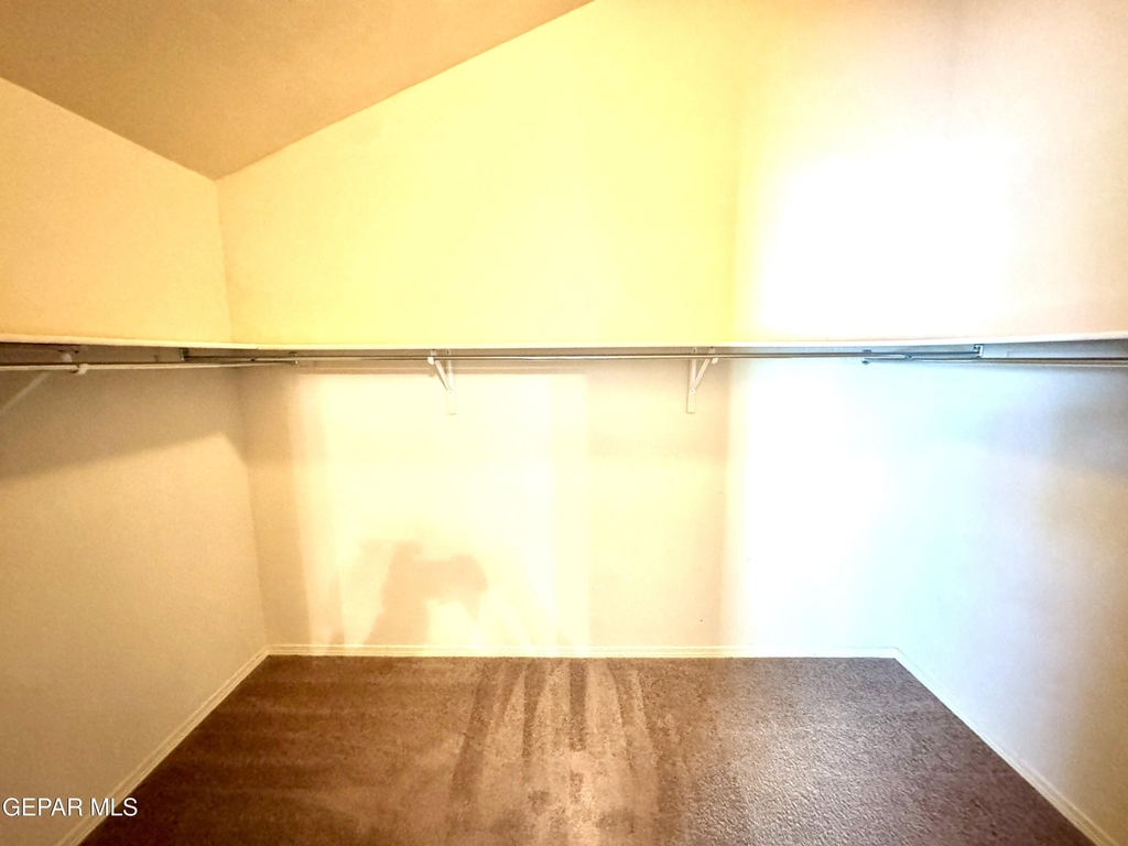 3813 Loma Dante - Photo 31