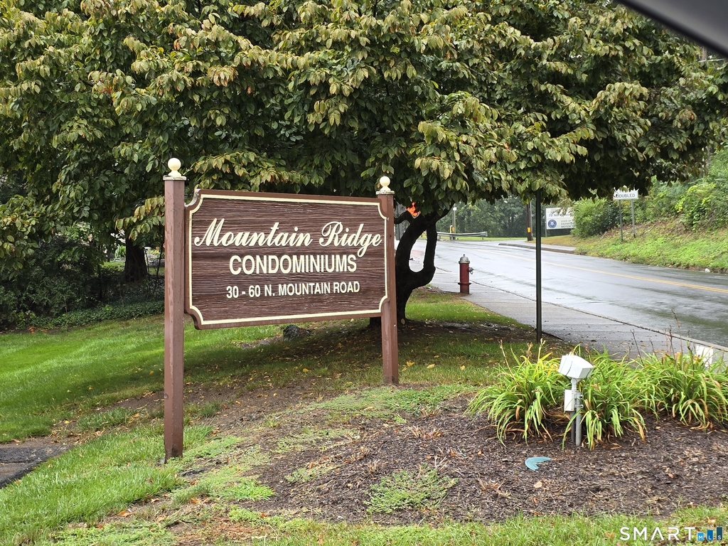 54 Mountain Road - Photo 19