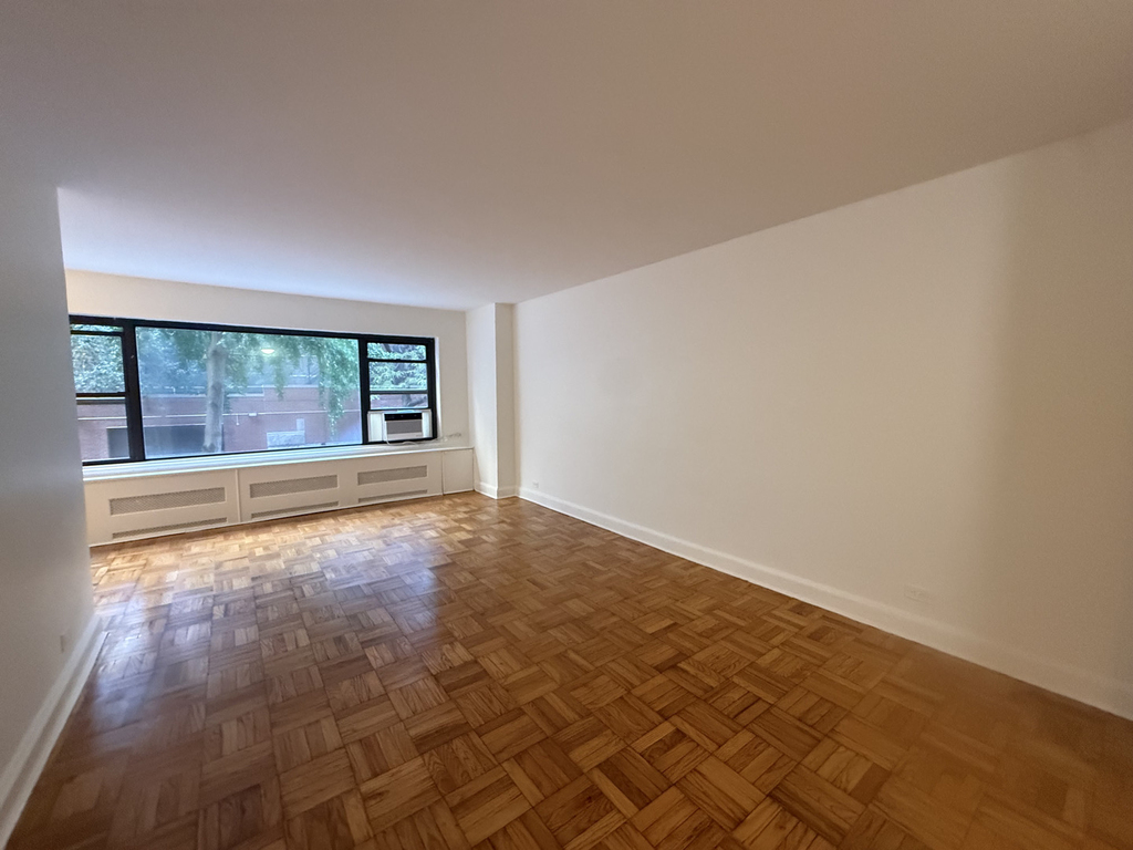 412 East 55th Street - Photo 4