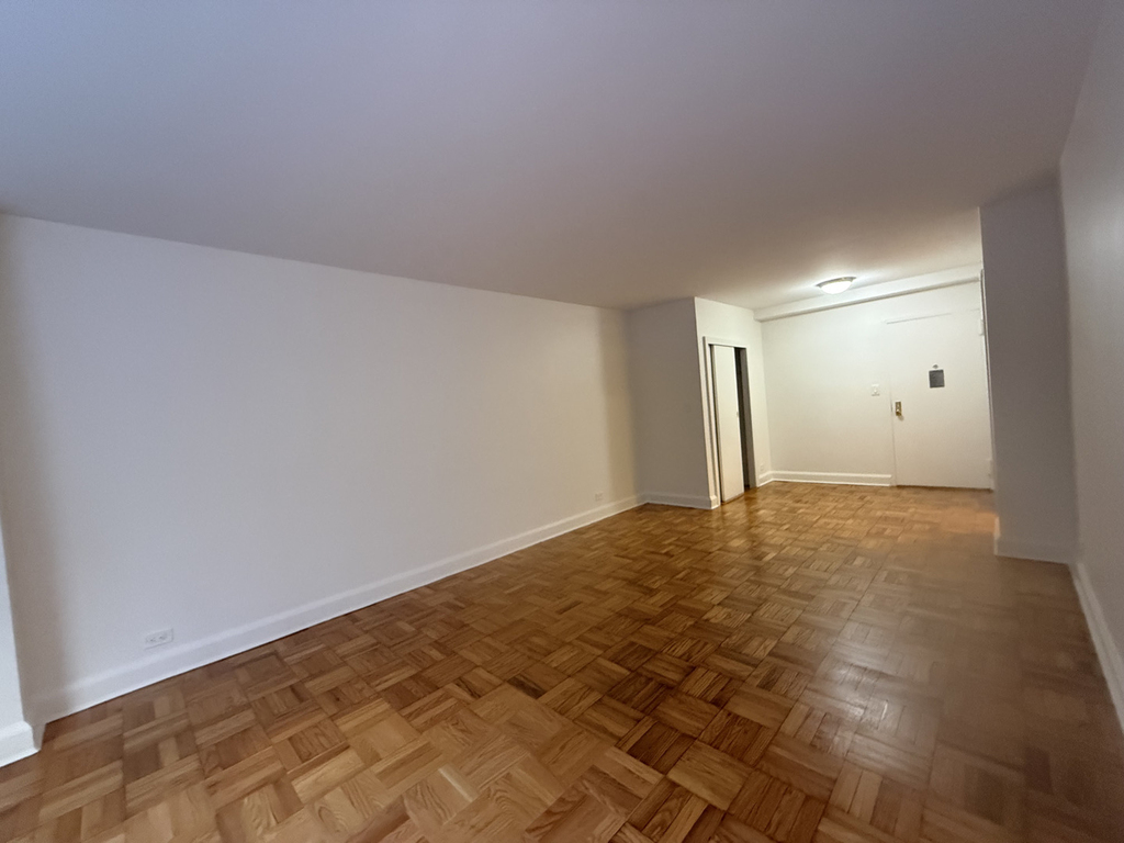 412 East 55th Street - Photo 8