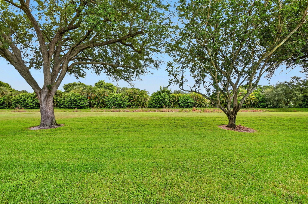 9965 Papaya Tree Trail - Photo 29